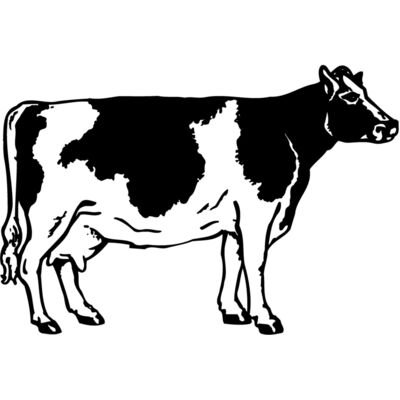 COW024 Thumbnail