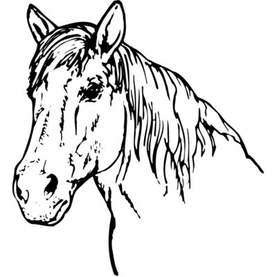 HORSE009 Thumbnail
